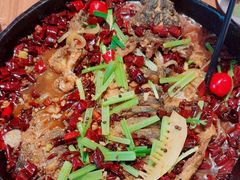 -老板恋上鱼(恒隆广场店)