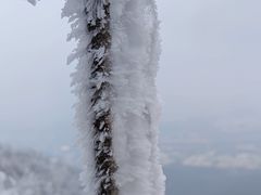 -紫金山天文台
