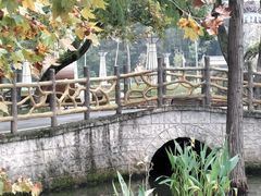 -青龙山国家森林公园