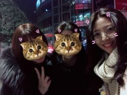 -P.STYLE派斯造型