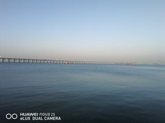 -宝安西湾红树林湿地公园