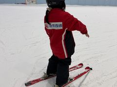 -哈尔滨热雪奇迹