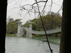 -东湖落雁景区