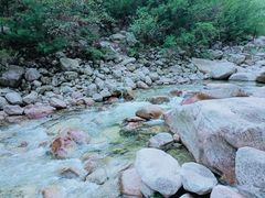 -青峰峡国家森林公园