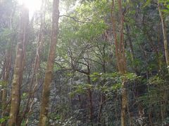 -福建天门山
