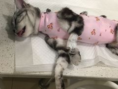 -美迦爱-牙专科·兔科·骨科诊疗中心(北苑店)