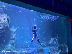 -多彩贵州城极地海洋世界