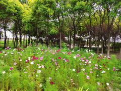 -东疆建设开发纪念公园