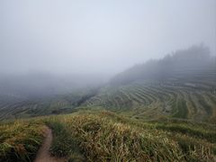 -紫鹊界梯田景区