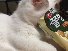 -大鼎石锅鱼(春江里店)