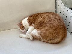 -小时光咖啡馆(北锣鼓巷店)