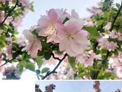 -青州市云门山风景区