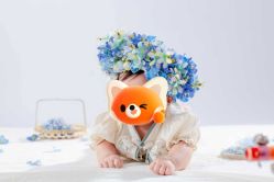 -小熊维尼高端儿童摄影(宝安旗舰店)