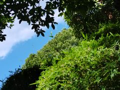 -兰亭风景区