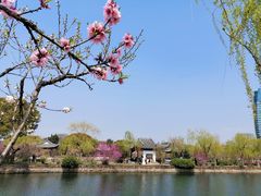 -无锡蠡湖国家湿地公园-蠡园