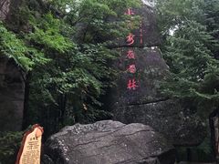 -汤旺河林海奇石景区