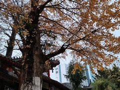 -华雅花园大酒店