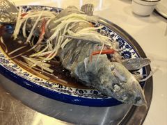 -乡土特色.冷锅鱼.牦牛肉汤锅