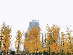 -百林公园-两江幸福广场