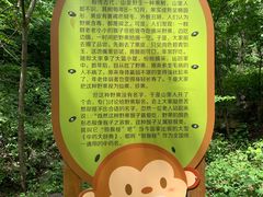 -大岭沟猕猴桃谷风景区