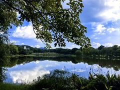-东莞植物园