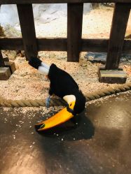 -Zoolung Zoolung动物主题公园(海信广场店)