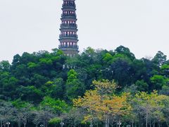 -顺峰山公园