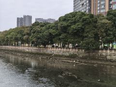-温江公园