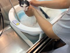 -PETKIT小佩宠物·低压洗护(国顺东路店)