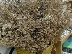 -晓风书屋(大学路店)