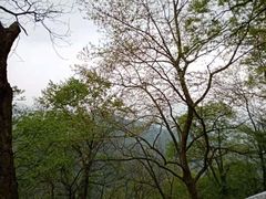 -北高峰