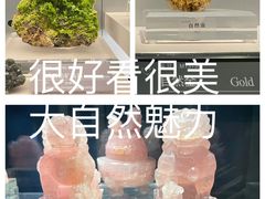 -中国地质博物馆