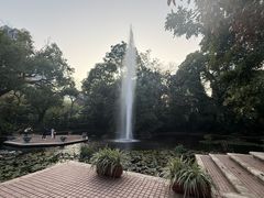 -九龙公园