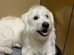 -小意思咖啡店(草桥店)