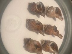 -常州环球恐龙城维景国际大酒店