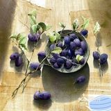 🎨韩国高产画家水彩写实画作品欣赏～