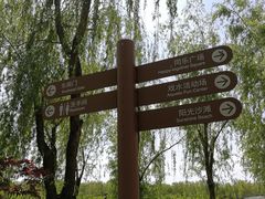 -大兴滨河森林公园