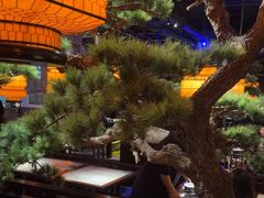 -绿茶餐厅(松江万达店)