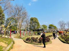 -武汉紫薇都市田园