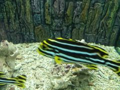 -北戴河圣蓝海洋公园