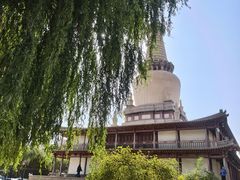 -张掖大佛寺景区