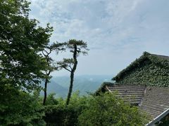-莫干山风景区