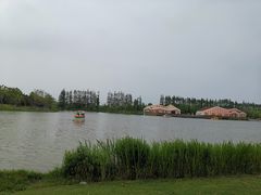 -上海长兴岛郊野公园
