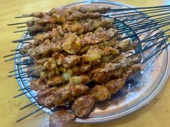 烤羊肉串-张四烤羊肉(西藏自治区拉萨市丹杰林巷店)