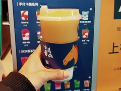-春丽小马(济南恒隆广场店)