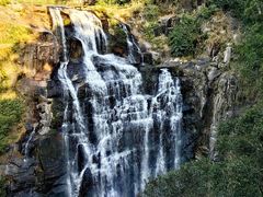 -海南热带雨林国家公园吊罗山景区