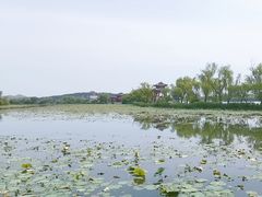 -颐和园