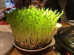 -好彩猪肚鸡(正弘城店)