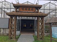 -上海都市菜园