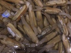 -广记海鲜(杨汊湖一店)